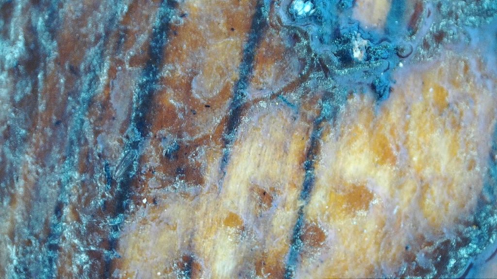 the varnish, where its been stood in whilst wet