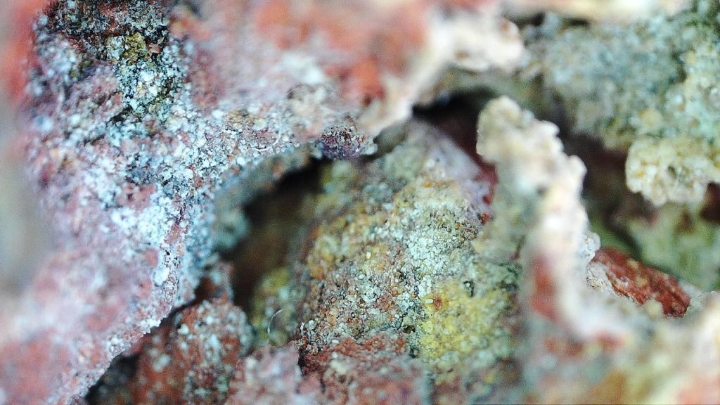 a strange hole in one of the bricks