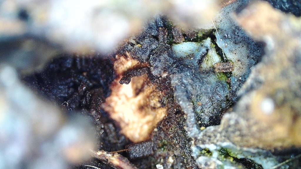 the inside of a crack in the bench