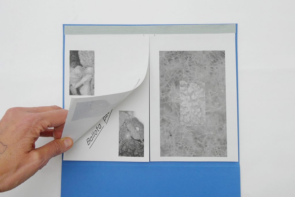 Positions through iterating — week 1