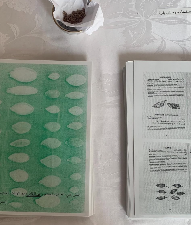 Positions through dialogue — Heiba Lamara